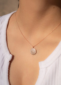 Desert Moon Necklace