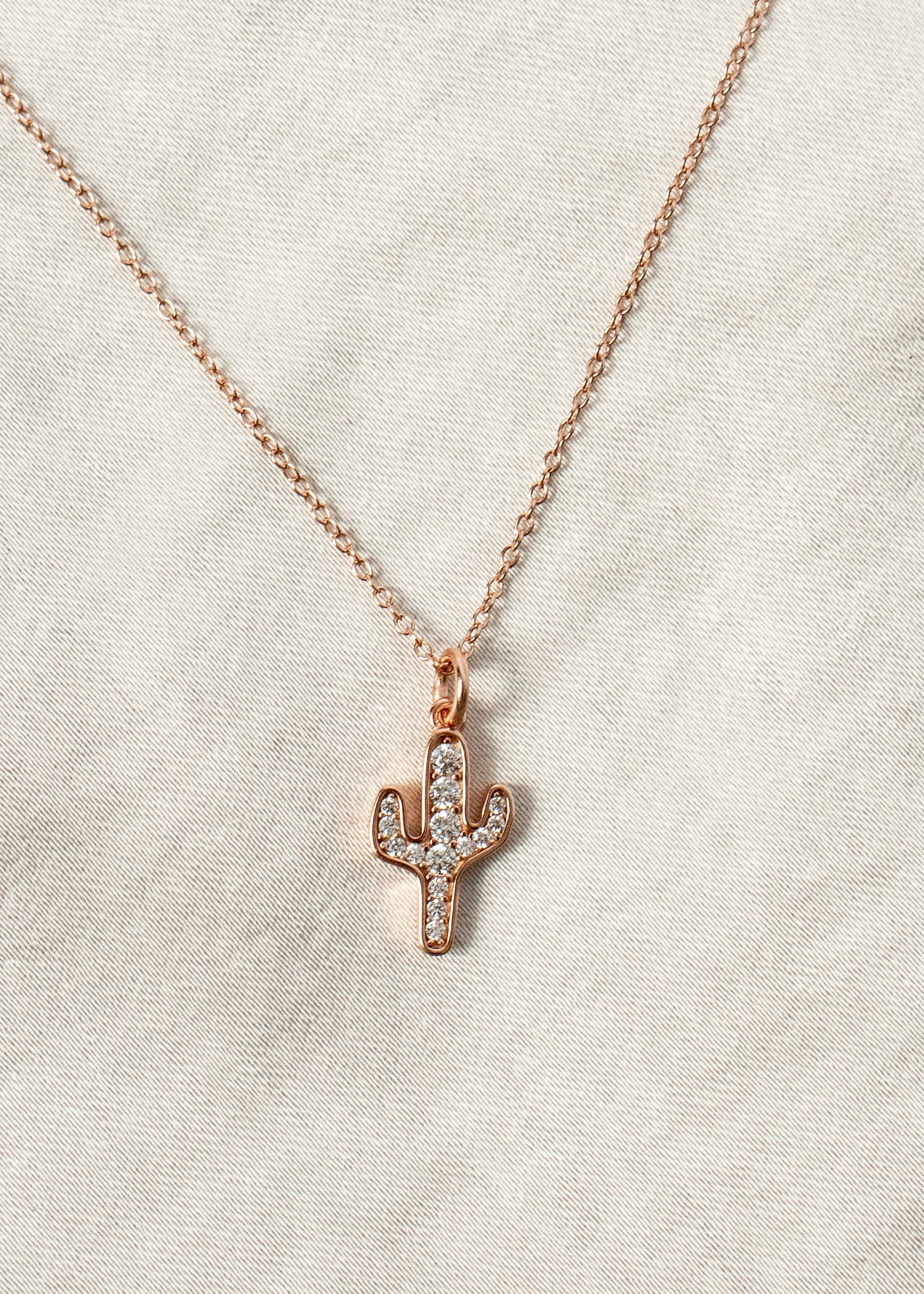 Dainty Cactus Necklace with Zirconia Stones Desert Citizen Jewelry